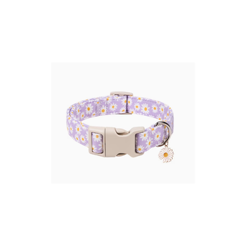Purple Daisy Dog Collar