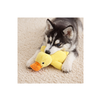 Soft & Cuddly Duck Toy with Squeaker