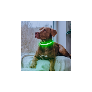 USB Rechargeable LED Dog Collar – Waterproof Glow Collar for Night Safety